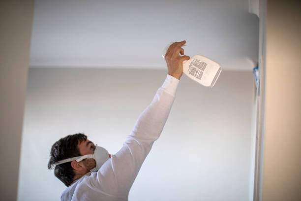 Best Local Mold Removal Service  in Payson, IL