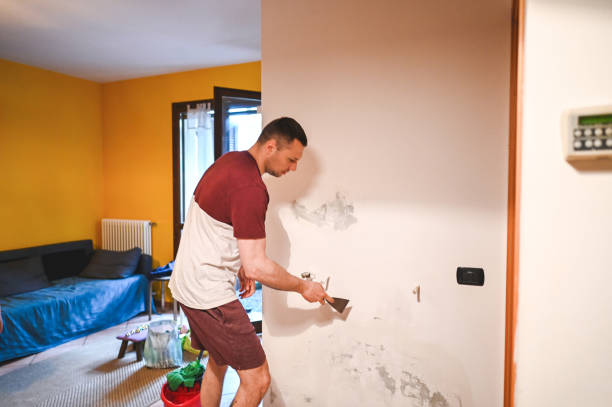 Best Water Damage Restoration  in Payson, IL